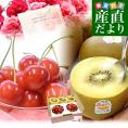 【母の日ギフト】山形県産 温室栽培さくらんぼ 佐藤錦 特秀品 合計約200g &ニュージーランド産 ゼスプリ・ジャンボサンゴールドキウイ 合計約400g(3玉入) 送料無料 フルーツセット