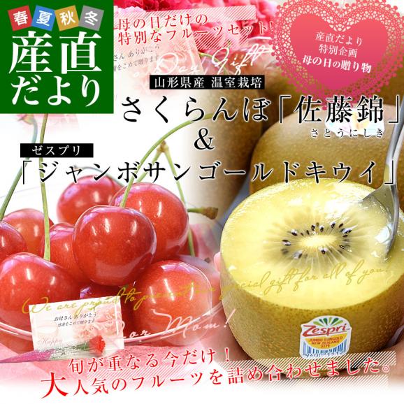 【母の日ギフト】山形県産 温室栽培さくらんぼ 佐藤錦 特秀品 合計約200g &ニュージーランド産 ゼスプリ・ジャンボサンゴールドキウイ 合計約400g(3玉入) 送料無料 フルーツセット02