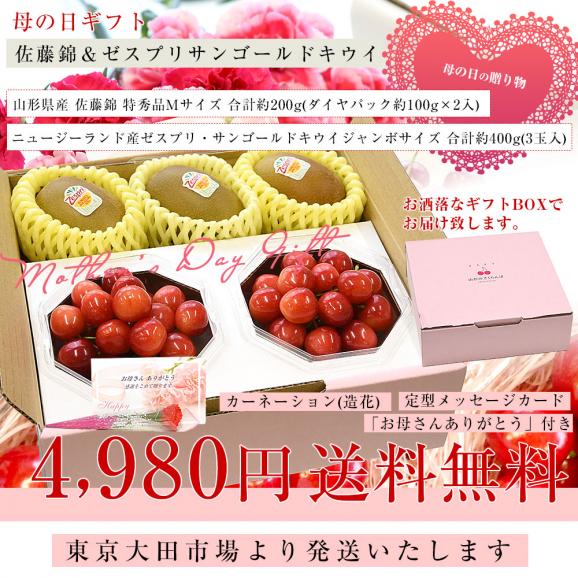 【母の日ギフト】山形県産 温室栽培さくらんぼ 佐藤錦 特秀品 合計約200g &ニュージーランド産 ゼスプリ・ジャンボサンゴールドキウイ 合計約400g(3玉入) 送料無料 フルーツセット03