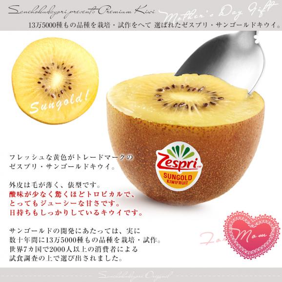 【母の日ギフト】山形県産 温室栽培さくらんぼ 佐藤錦 特秀品 合計約200g &ニュージーランド産 ゼスプリ・ジャンボサンゴールドキウイ 合計約400g(3玉入) 送料無料 フルーツセット06