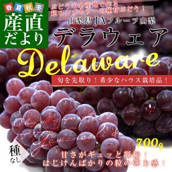 山梨県産 JAフルーツ山梨 デラウェア ハウス栽培 秀品 約700g前後（5房から6房） 送料無料 ぶどう ブドウ 葡萄 クール便02
