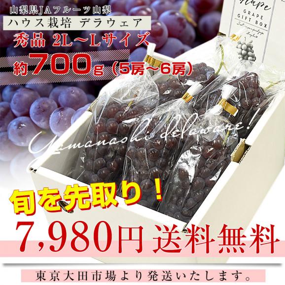 山梨県産 JAフルーツ山梨 デラウェア ハウス栽培 秀品 約700g前後（5房から6房） 送料無料 ぶどう ブドウ 葡萄 クール便03