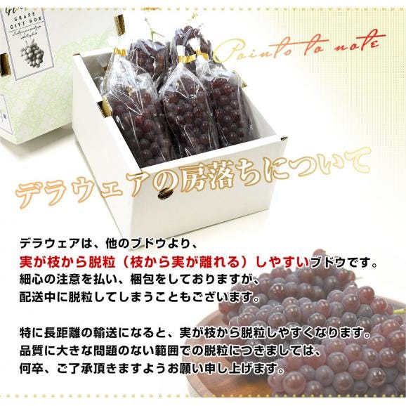 山梨県産 JAフルーツ山梨 デラウェア ハウス栽培 秀品 約700g前後（5房から6房） 送料無料 ぶどう ブドウ 葡萄 クール便06