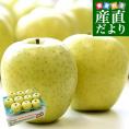 青森県より産地直送 マルジン・サンアップル 糖度14度以上 王林 「紫蘭（しらん）」 CA貯蔵品 約3キロ (9玉から11玉) 送料無料 りんご リンゴ 林檎