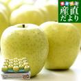 青森県より産地直送 マルジン・サンアップル 糖度14度以上 王林 「紫蘭（しらん）」 CA貯蔵品 約5キロ (16玉から20玉) 送料無料 りんご リンゴ 林檎