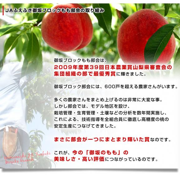 山梨県産 JAふえふき御坂支所 最高級桃「御坂の大糖領」約1.8キロ (大玉6玉入) 送料無料 もも モモ お中元 ギフト06