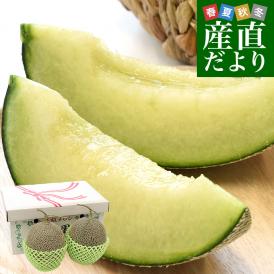 熊本県より産地直送 伊藤園芸 肥後グリーンメロン 秀品 超大玉 合計約5キロ(2玉入り) 送料無料 めろん 青肉メロン 熊本メロン