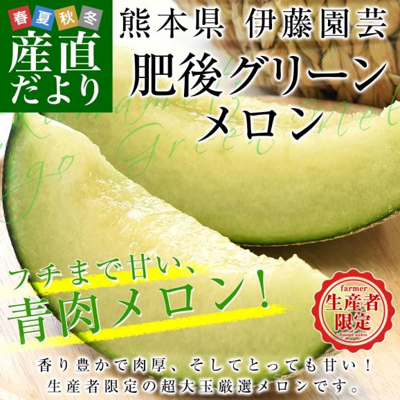 熊本県より産地直送 伊藤園芸 肥後グリーンメロン 秀品 超大玉 合計約5キロ(2玉入り) 送料無料 めろん 青肉メロン 熊本メロン02