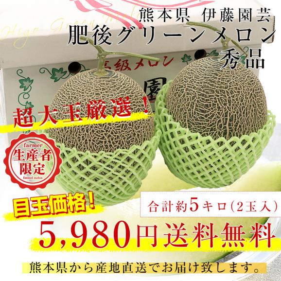 熊本県より産地直送 伊藤園芸 肥後グリーンメロン 秀品 超大玉 合計約5キロ(2玉入り) 送料無料 めろん 青肉メロン 熊本メロン03