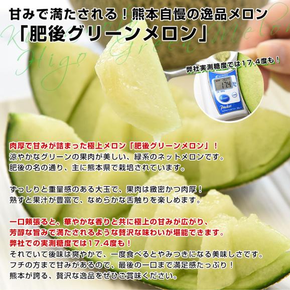 熊本県より産地直送 伊藤園芸 肥後グリーンメロン 秀品 超大玉 合計約5キロ(2玉入り) 送料無料 めろん 青肉メロン 熊本メロン04