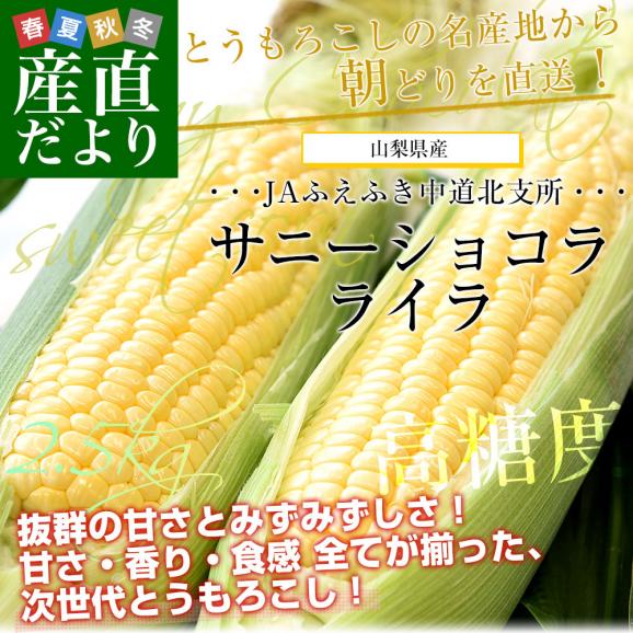 山梨県より産地直送 JAふえふき中道北支所 中道のとうもろこし(サニーショコラライラ)約2.5キロ 2Lサイズ(6本入)送料無料 とうもろこし クール便02