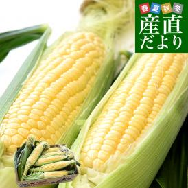 山梨県より産地直送 JAふえふき中道北支所 中道のとうもろこし（サニーショコラライラ）約5キロ 2Lサイズ（12本入）送料無料 とうもろこし クール便