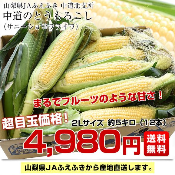 山梨県より産地直送 JAふえふき中道北支所 中道のとうもろこし(サニーショコラライラ)約5キロ 2Lサイズ(12本入)送料無料 とうもろこし クール便03