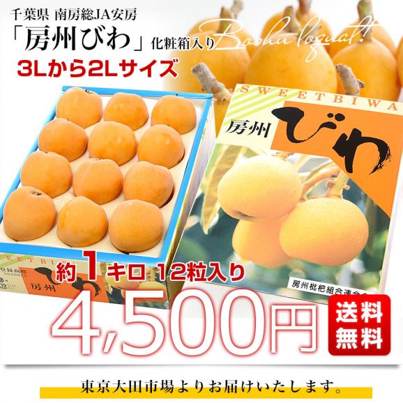 千葉県 南房総 JA安房 房州びわ 約1キロ 12粒入り 3Lから2Lサイズ 送料無料 ビワ 枇杷 クール便03