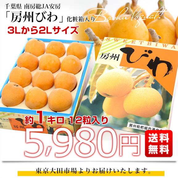 千葉県 南房総 JA安房 房州びわ 約1キロ 12粒入り 3Lから2Lサイズ 送料無料 ビワ 枇杷 クール便03
