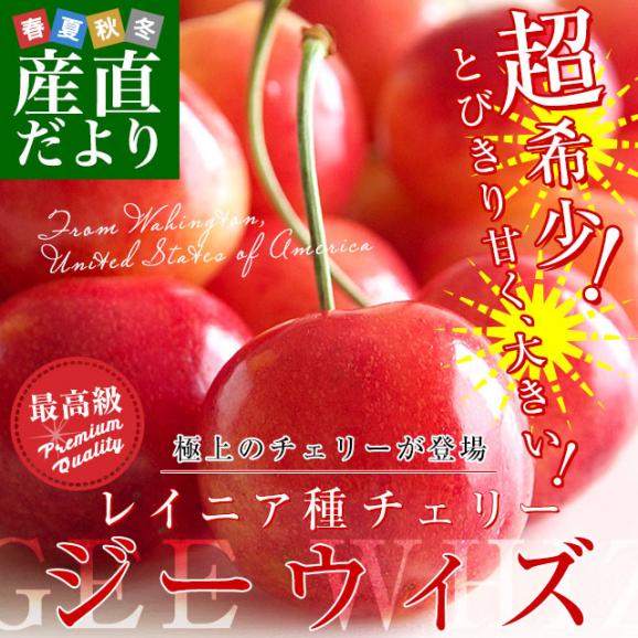 アメリカワシントン州 レイニア種チェリー極上ブランド「ジーウィズ」 合計約400g(200g&times;2p) 送料無料 チェリー アメリカンチェリー レイニア02