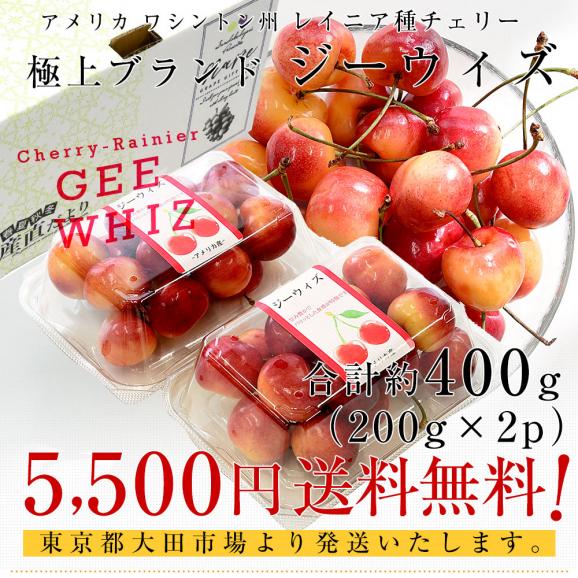 アメリカワシントン州 レイニア種チェリー極上ブランド「ジーウィズ」 合計約400g(200g&times;2p) 送料無料 チェリー アメリカンチェリー レイニア03