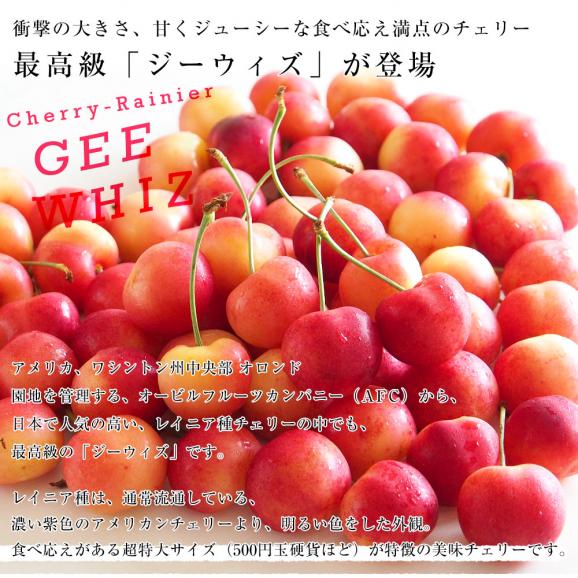 アメリカワシントン州 レイニア種チェリー極上ブランド「ジーウィズ」 合計約400g(200g&times;2p) 送料無料 チェリー アメリカンチェリー レイニア04