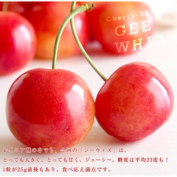 アメリカワシントン州 レイニア種チェリー極上ブランド「ジーウィズ」 合計約400g(200g&times;2p) 送料無料 チェリー アメリカンチェリー レイニア05