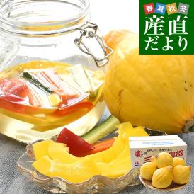 神奈川県産 三浦市農協 コリンキー（サラダかぼちゃ） 約3キロ 秀品 ６玉送料無料 南瓜 カボチャ