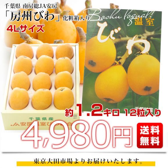 千葉県 南房総 JA安房 房州びわ 約1.2キロ 12粒入り 特大 4Lサイズ 送料無料 ビワ 枇杷 クール便 03