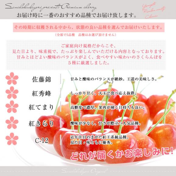 山形県より産地直送！品種おまかせ ご家庭用 さくらんぼ 大ボリューム1.2キロ ○秀品Mサイズ以上（300g&times;4パック）桜桃　送料無料 クール便　サクランボ05