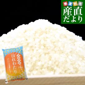 令和７年産 青森県産 はれわたり  10キロ 送料無料