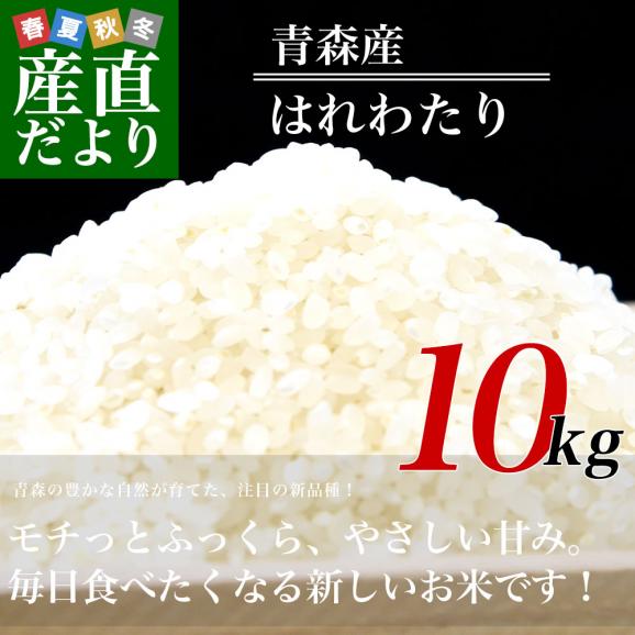 令和７年産 青森県産 はれわたり  10キロ 送料無料02