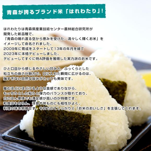 令和７年産 青森県産 はれわたり  10キロ 送料無料04