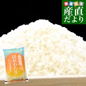 炊きたてのつやと香りが違う、青森生まれの新ブランド米