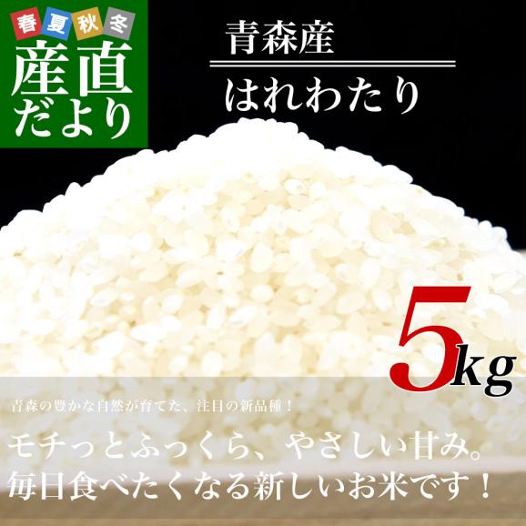炊きたてのつやと香りが違う、青森生まれの新ブランド米02