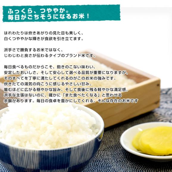 炊きたてのつやと香りが違う、青森生まれの新ブランド米05