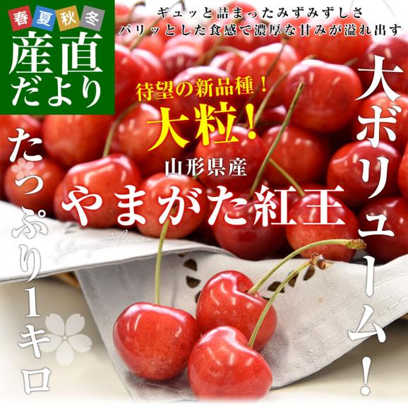 山形県より産地直送 さくらんぼ 「やまがた紅王」 秀品 2L サイズ約1キロ (500g×2)送料無料 クール便 サクランボ桜桃02