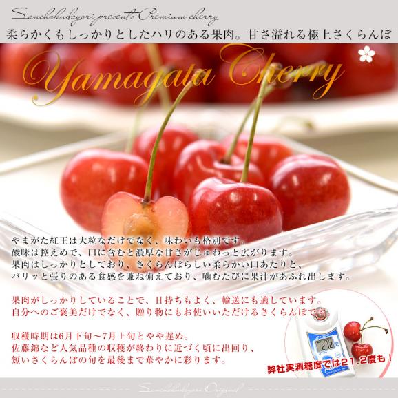 山形県より産地直送 さくらんぼ 「やまがた紅王」 秀品 2L サイズ約1キロ (500g×2)送料無料 クール便 サクランボ桜桃06