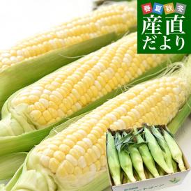 香川県より産地直送 JA香川県 ドルチェドリーム 約4.5キロ　2LからLサイズ　（10本から13本入）とうもろこし トウモロコシ ※クール便