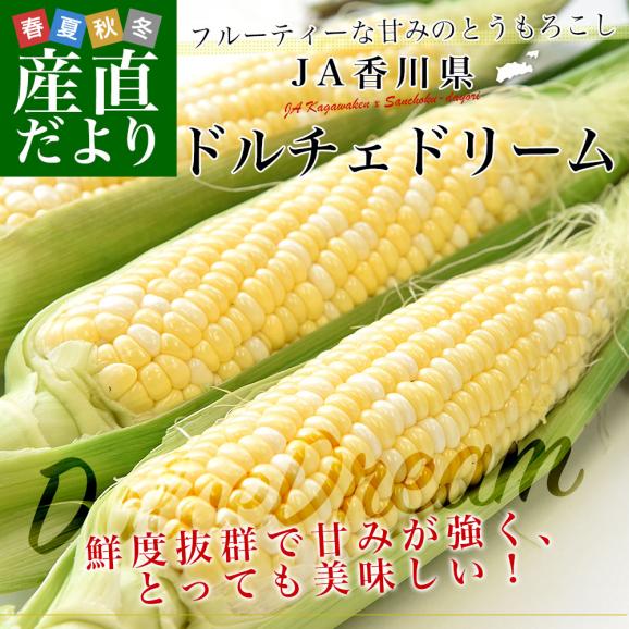 香川県より産地直送 JA香川県 ドルチェドリーム 約4.5キロ　2LからLサイズ　（10本から13本入）とうもろこし トウモロコシ ※クール便02