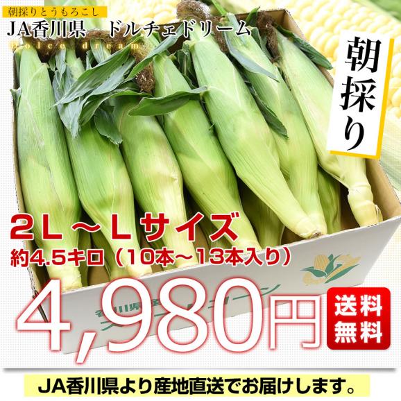 香川県より産地直送 JA香川県 ドルチェドリーム 約4.5キロ　2LからLサイズ　（10本から13本入）とうもろこし トウモロコシ ※クール便03