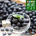 千葉県産 JA山武郡市 ブルーベリー 大粒 約800g (約100g×8P) 送料無料 ぶるーべりー クール便