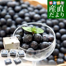 千葉県産 JA山武郡市 ブルーベリー 大粒 約800g (約100g×8P) 送料無料 ぶるーべりー クール便
