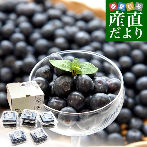 千葉県産 JA山武郡市 ブルーベリー 大粒 約800g (約100g×8P) 送料無料 ぶるーべりー クール便01