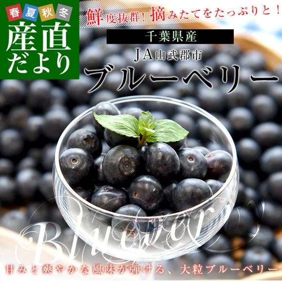 千葉県産 JA山武郡市 ブルーベリー 大粒 約800g (約100g×8P) 送料無料 ぶるーべりー クール便02