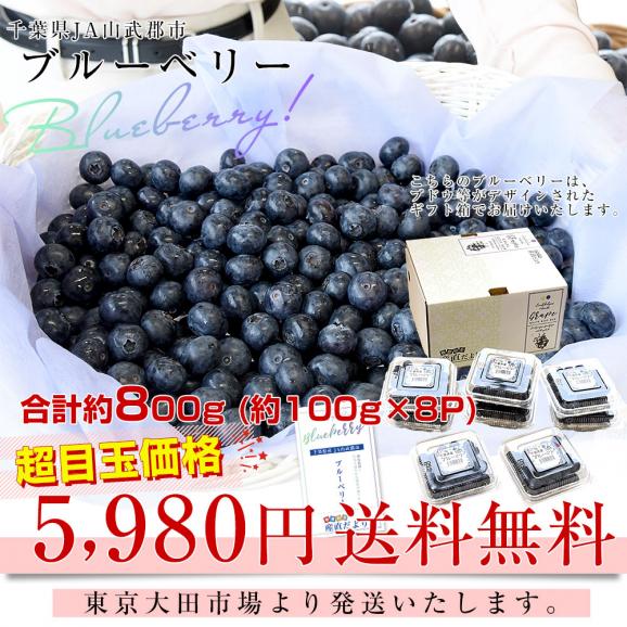 千葉県産 JA山武郡市 ブルーベリー 大粒 約800g (約100g×8P) 送料無料 ぶるーべりー クール便03