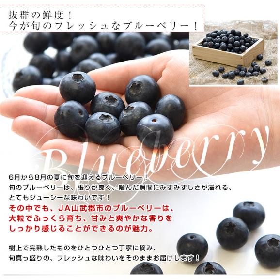 千葉県産 JA山武郡市 ブルーベリー 大粒 約800g (約100g×8P) 送料無料 ぶるーべりー クール便04