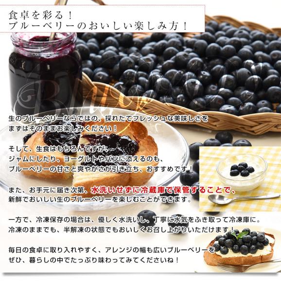 千葉県産 JA山武郡市 ブルーベリー 大粒 約800g (約100g×8P) 送料無料 ぶるーべりー クール便06
