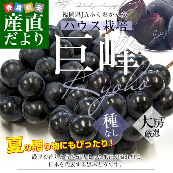 福岡県 JAふくおか八女 ハウス栽培品 巨峰 約900g(450g×2房) 秀品 黒ぶどう葡萄 ブドウ クール便 送料無料02
