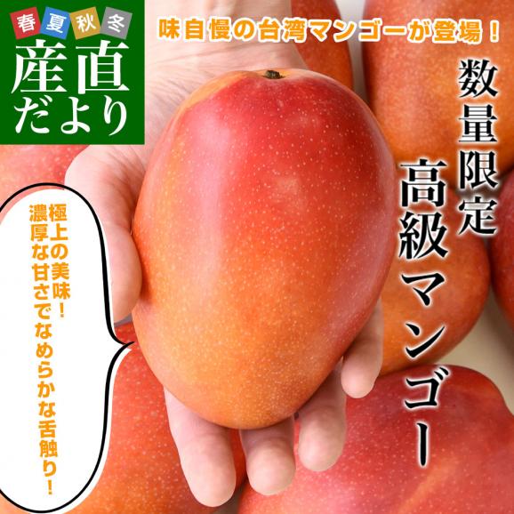 台湾産 台湾マンゴー(品種:愛文 アーウイン)大玉厳選 約1.2キロ(3玉入)送料無料 マンゴー まんごー アップルマンゴー クール便02