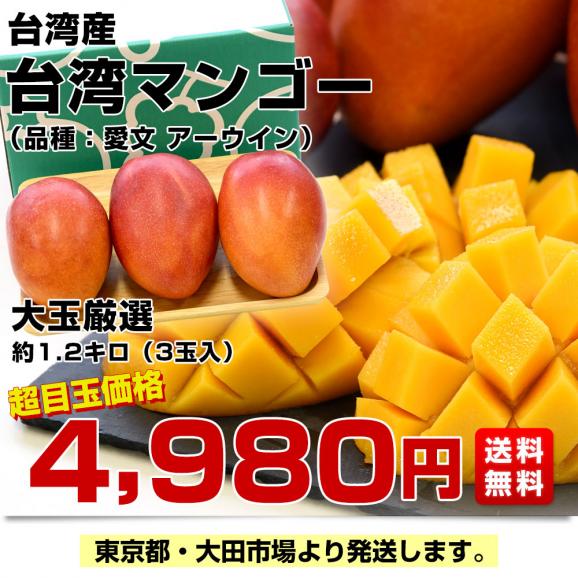台湾産 台湾マンゴー(品種:愛文 アーウイン)大玉厳選 約1.2キロ(3玉入)送料無料 マンゴー まんごー アップルマンゴー クール便03