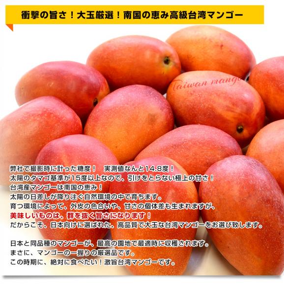 台湾産 台湾マンゴー(品種:愛文 アーウイン)大玉厳選 約1.2キロ(3玉入)送料無料 マンゴー まんごー アップルマンゴー クール便04