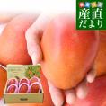 台湾産 台湾マンゴー(品種:愛文 アーウイン)大玉厳選 約2.5キロ(6玉入)送料無料 マンゴー まんごー アップルマンゴー クール便