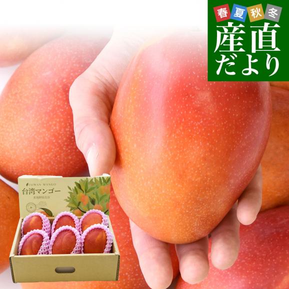 台湾産 台湾マンゴー(品種:愛文 アーウイン)大玉厳選 約2.5キロ(6玉入)送料無料 マンゴー まんごー アップルマンゴー クール便01